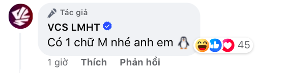 Chính thức lộ diện MC thay thế Minh Nghi, làm chủ "ghế nóng" tại VCS? - Ảnh 6.