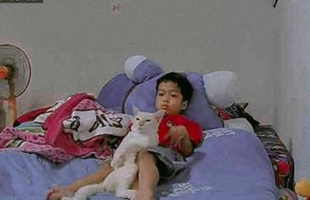 Mua mèo về để con trai ‘cai’ tivi, mẹ ngã ngửa khi thấy kết quả qua camera avatar1663555102775 16635551032461071772325jpg