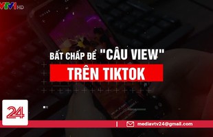 Hành động khó hiểu của TikTok với các content 'không sạch' và bí ẩn 'đẩy view' cho TikToker từng khiến xã hội phẫn nộ? avatar1684062229319 1684062229616724965648jpg