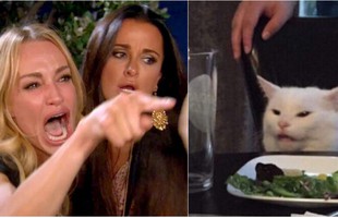 Game Mobile có 5 kỷ lục thế giới bất ngờ cấm một loạt tài khoản? Người chơi bất lực với phản hồi của NPH avatar1730019946786 17300199472451766028001jpg