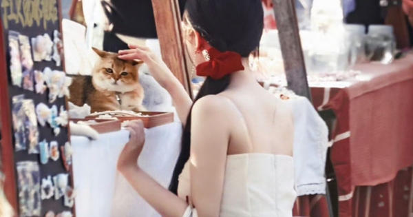 Bản nhật ký đang viral khắp Trung Quốc avatar1731864772514 173186477358911017270jpg