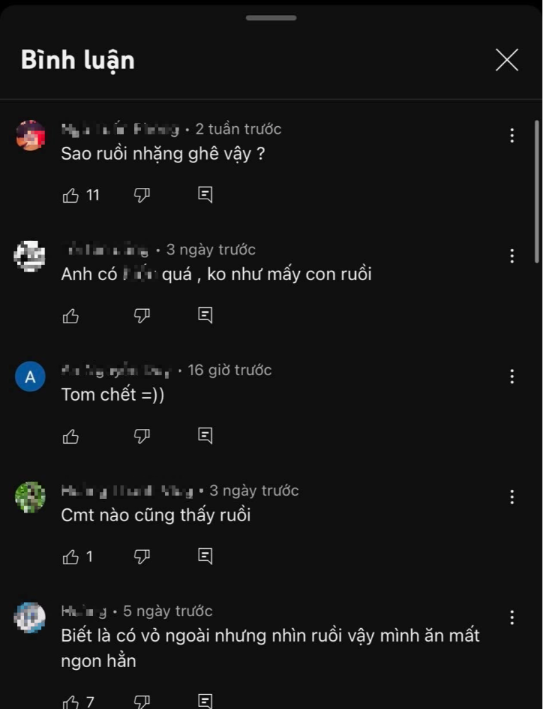 Mời mẹ ăn mâm tôm hùm nhưng ruồi nhặng bay đầy, TikToker ‘Thánh ăn cay’ bị CĐM chê mất vệ sinh - Ảnh 2. Mời mẹ ăn mâm tôm hùm nhưng ruồi nhặng bay đầy, TikToker ‘Thánh ăn cay’ bị CĐM chê mất vệ sinh - Ảnh 2.