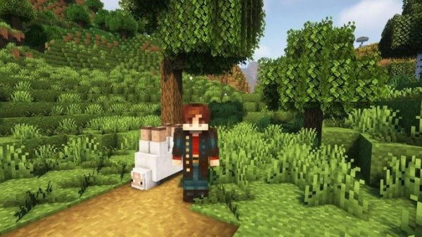 Tổng hợp tất cả các thủ thuật gắn thẻ tên trong Minecraft 2023 djpg