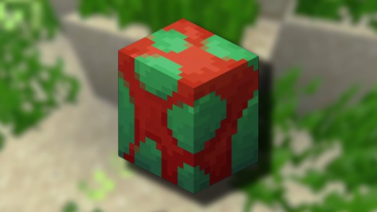 Hướng dẫn cách ấp trứng Sniffer trong Minecraft f14 1