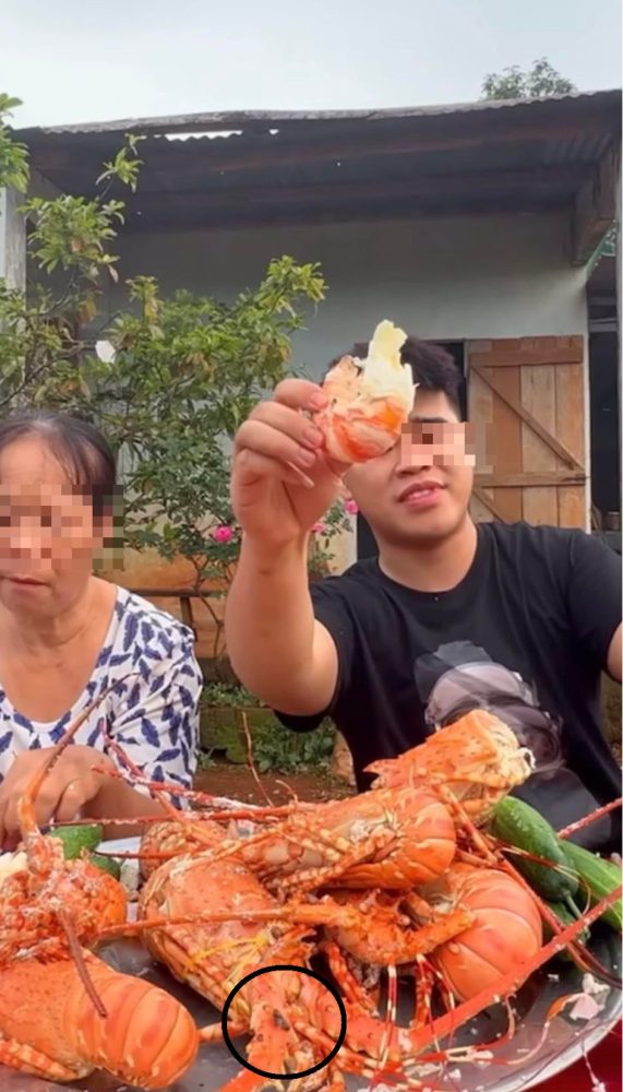 Mời mẹ ăn mâm tôm hùm nhưng ruồi nhặng bay đầy, TikToker ‘Thánh ăn cay’ bị CĐM chê mất vệ sinh - Ảnh 1. Mời mẹ ăn mâm tôm hùm nhưng ruồi nhặng bay đầy, TikToker ‘Thánh ăn cay’ bị CĐM chê mất vệ sinh - Ảnh 1.