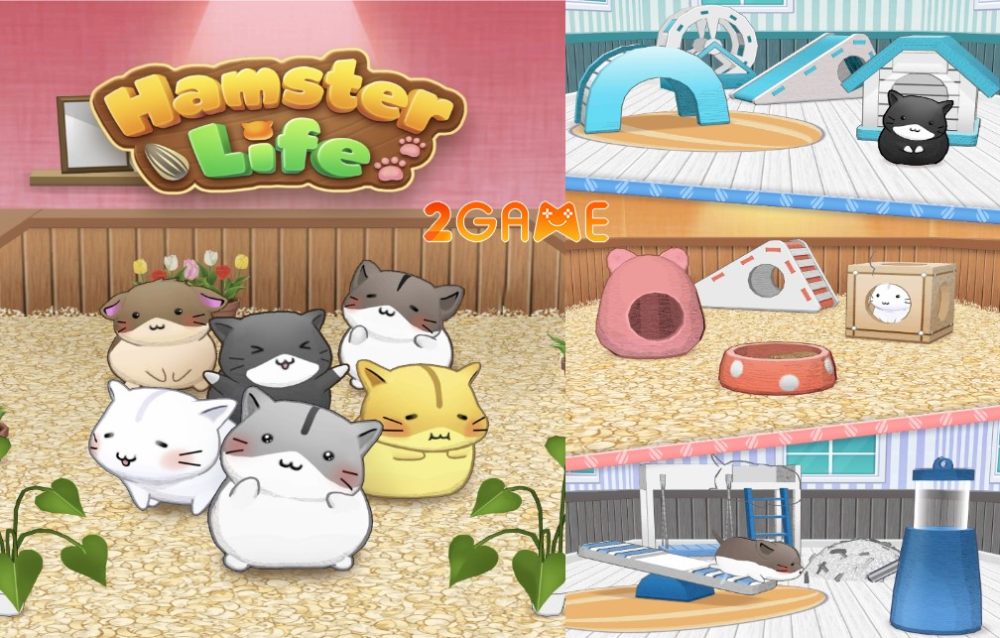 Hamster Life match and home – Sự trở lại của IP Hamster Life hamster life match and home 1