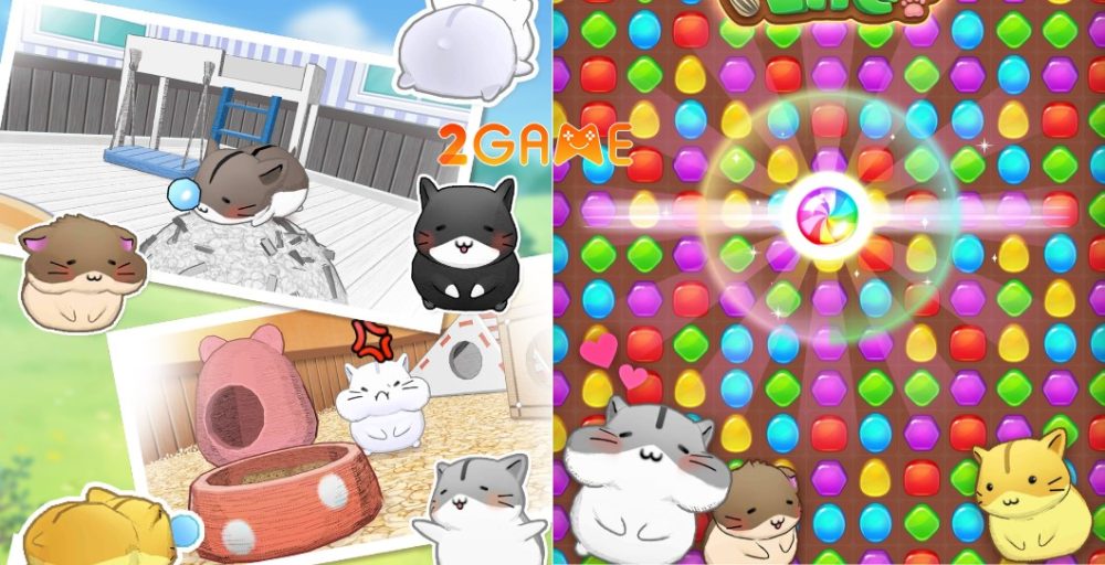 Hamster Life match and home – Sự trở lại của IP Hamster Life hamster life match and home 5