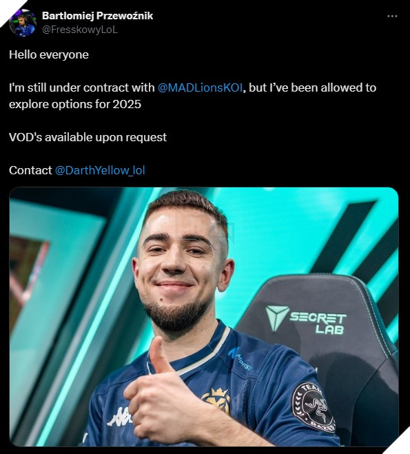 Mad Lions KOI Fresskowy