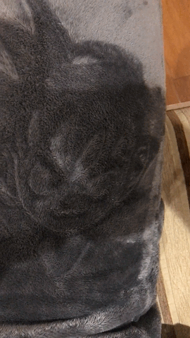 CĐM choáng trước tác phẩm Dragon Ball và hàng loạt bộ Manga đình đám trên… một chiếc quần nhung - Ảnh 1. CĐM choáng trước tác phẩm Dragon Ball và hàng loạt bộ Manga đình đám trên… một chiếc quần nhung - Ảnh 1.