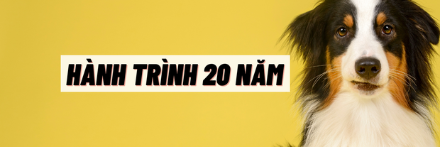 Không có bằng đại học vẫn kiếm hơn 100.000 USD/năm nhờ nghề dắt cún cưng đi dạo - Ảnh 2. Không có bằng đại học vẫn kiếm hơn 100.000 USD/năm nhờ nghề dắt cún cưng đi dạo - Ảnh 2.