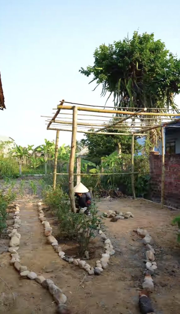 photo-13-1685896470569669170122-1685952924180-16859529242651286618317 3 cô thôn nữ miệt vườn nổi tiếng nhất hiện nay, khiến ai nhìn vào cũng phải nghẹn ngào: "Nhớ quê quá!" photo 13 1685896470569669170122 1685952924180 16859529242651286618317