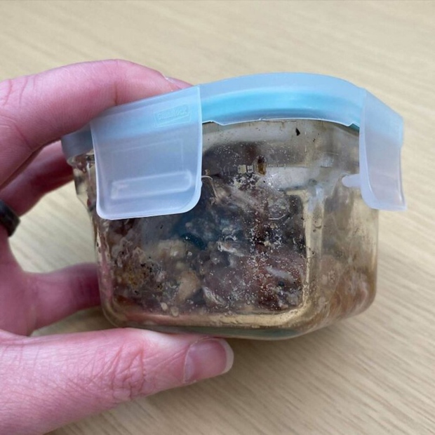 Những bức ảnh phát ra tiếng thét, nhìn thôi đã thấy bất lực - Ảnh 4. Những bức ảnh phát ra tiếng thét, nhìn thôi đã thấy bất lực - Ảnh 4.