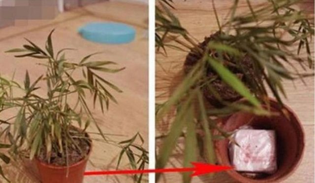 Những chiêu giấu quỹ đen out trình khiến các chị vợ phải lắc đầu chào thua - Ảnh 8. Những chiêu giấu quỹ đen out trình khiến các chị vợ phải lắc đầu chào thua - Ảnh 8.