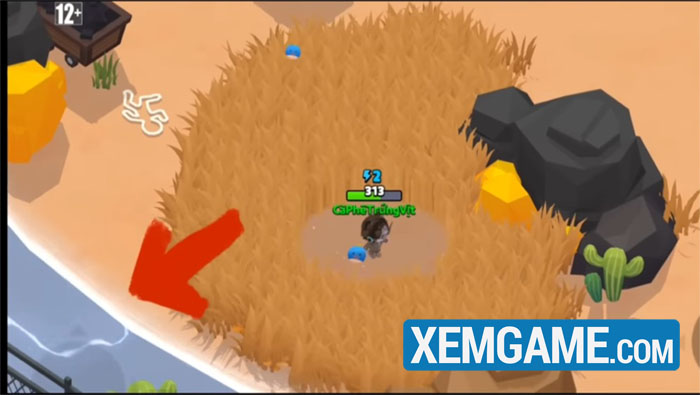 Play Together VNG: Đã có thêm sân chơi sinh tồn mới cho cộng đồng trổ tài play together vng 3 1