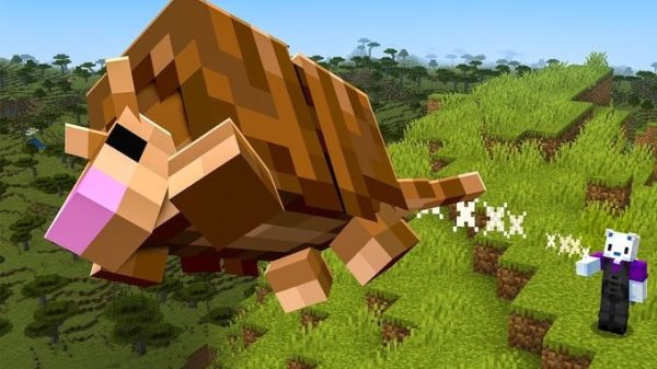 Mọi thông tin mà game thủ cần biết về Armadillo trong Minecraft 1.21 q1 2 jpg