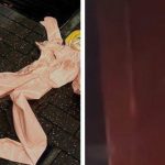 Nam sinh đốt búp bê tình dục trong ký túc xá gây hỏa hoạn 0 1739347641 42 width740height495 auto cropjpg