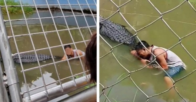 Ham chụp ảnh sống ảo, nam du khách bị cá sấu cắn suýt mất mạng 0 1746265978 715 width740height495 auto cropjpg 1