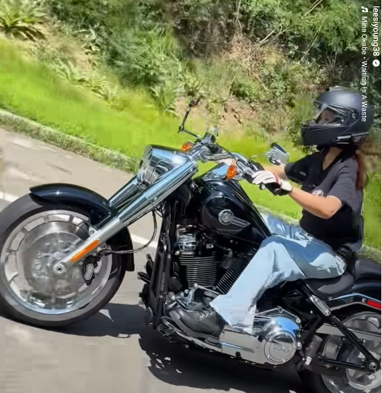 Mỹ nhân Vườn Sao Băng