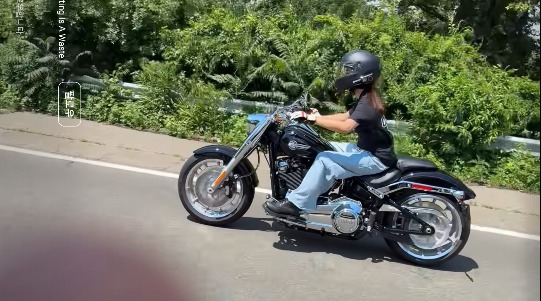 Mỹ nhân Vườn Sao Băng