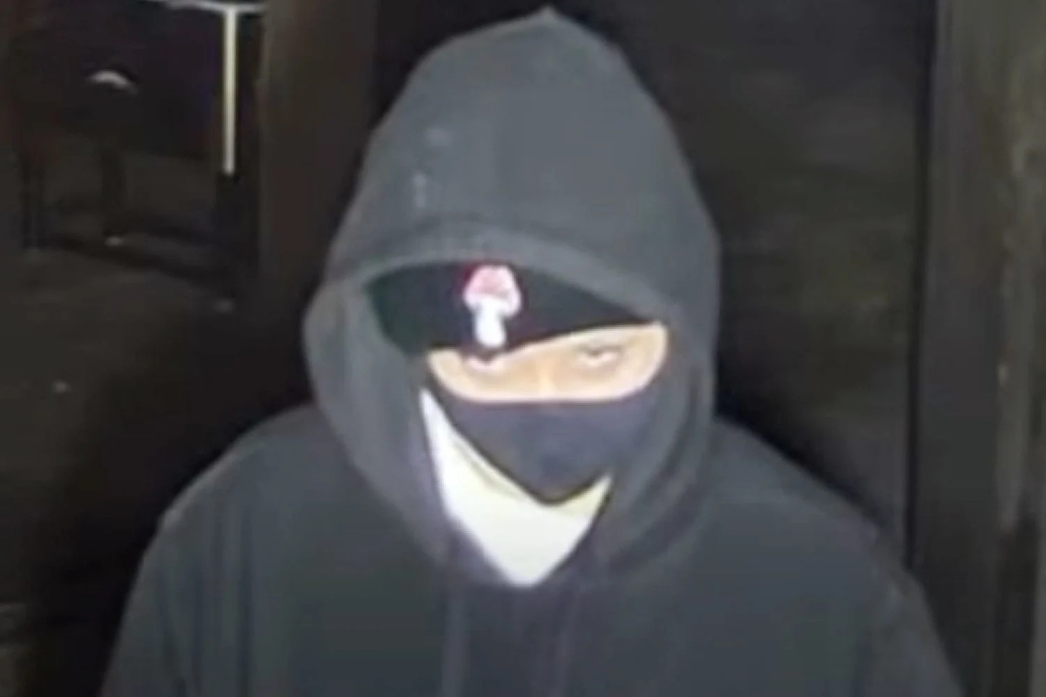 Cô gái bị bắt sau khi cha mẹ phát hiện nhật ký có kế hoạch giết người yêu cũ- Ảnh 1.