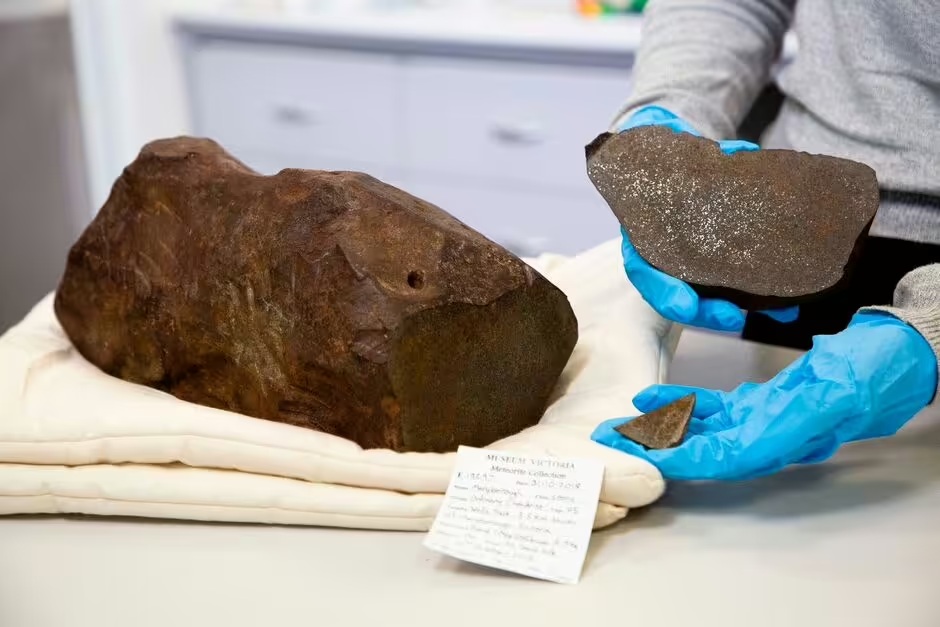 Đào đất tìm vàng, người đàn ông nhặt được thứ còn quý hơn vàng ngàn lần- Ảnh 2.