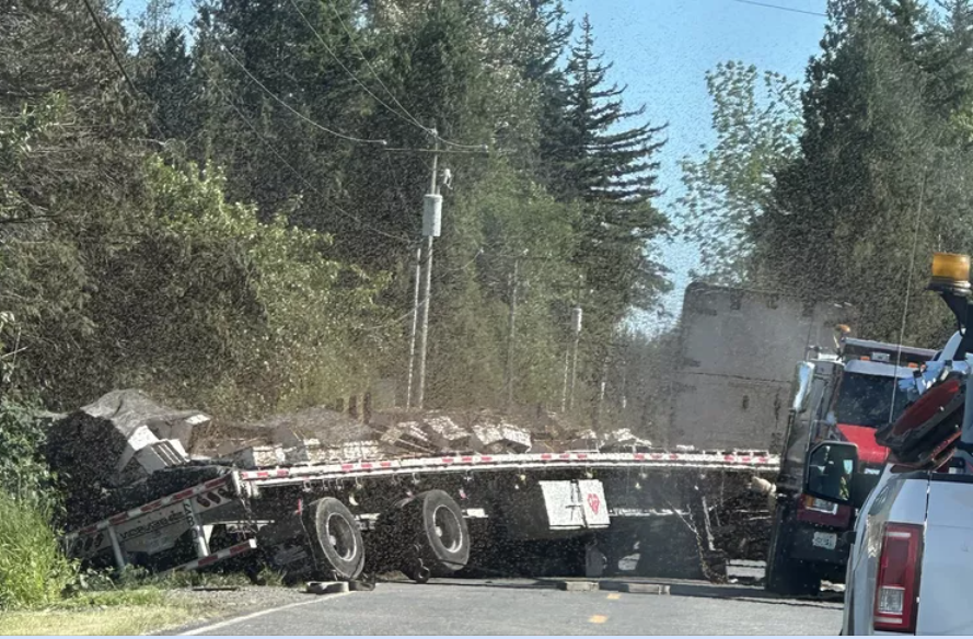 Lật xe tải ở Mỹ, 250 triệu con ong mật thoát ra ngoài- Ảnh 2.