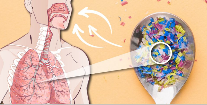 Con người có thể hít tới 68.000 hạt vi nhựa mỗi ngày- Ảnh 3. Con người có thể hít tới 68.000 hạt vi nhựa mỗi ngày- Ảnh 3.