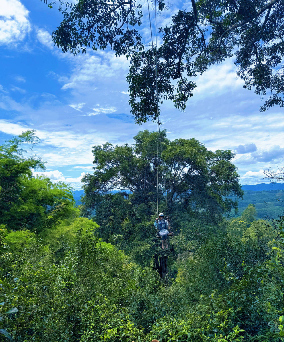 Trương Hinh Dư và chồng khoe ảnh đôi lãng mạn khiến fan chỉ biết thốt lên: