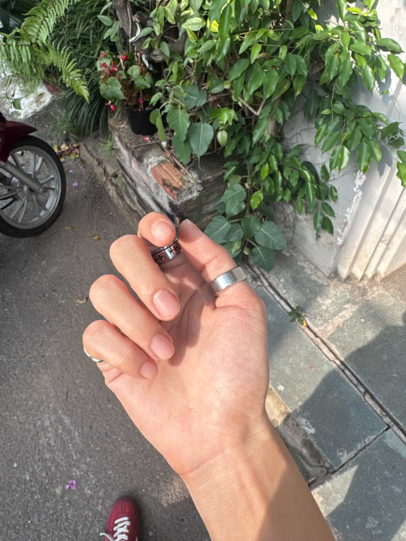 Chuyện gì đang xảy ra giữa NSƯT Kim Tuyến và Chị Đẹp Đồng Ánh Quỳnh?- Ảnh 2. Chuyện gì đang xảy ra giữa NSƯT Kim Tuyến và Chị Đẹp Đồng Ánh Quỳnh?- Ảnh 2.