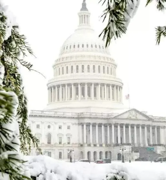 Thủ đô Washington ban bố tình trạng khẩn cấp do tuyết rơi- Ảnh 1. Thủ đô Washington ban bố tình trạng khẩn cấp do tuyết rơi- Ảnh 1.