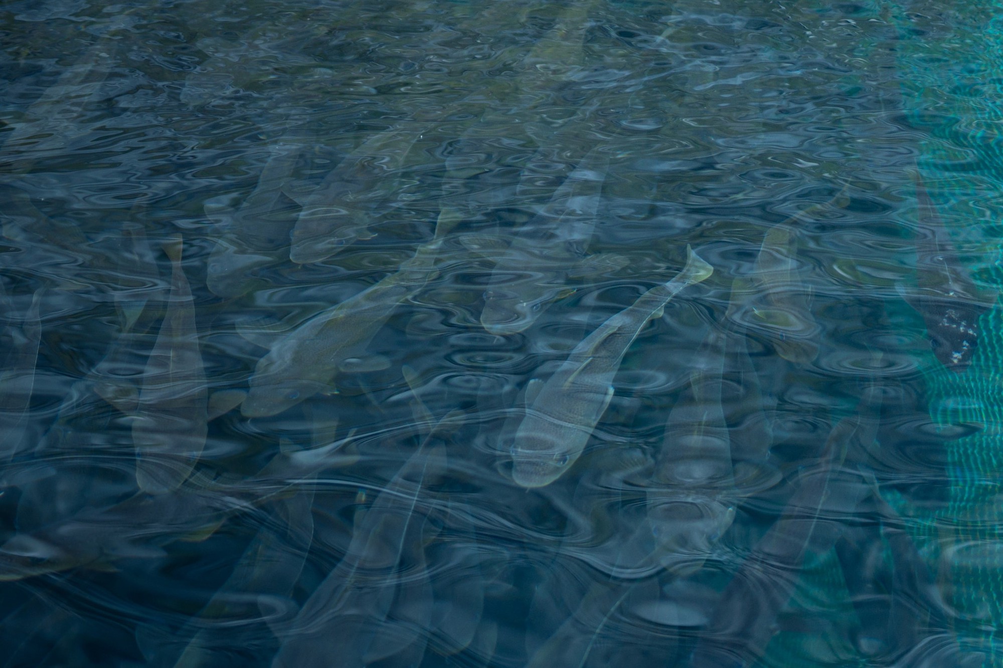 Phát hiện vùng đất la liệt kho báu, trữ lượng đất hiếm thứ 8 hành tinh, hứa hẹn khai thác 1.000 năm: Mỹ thèm khát nhưng chỉ có thể đứng nhìn?- Ảnh 9.