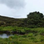 Cái cây cô đơn nhất thế giới 098307403 1745568447086 17455684471791796644226 1757565993560 17575659938411915786319 1757575612202 17575756124301732286472 87 0 1337 2000 crop 1757575636727111480021jpg