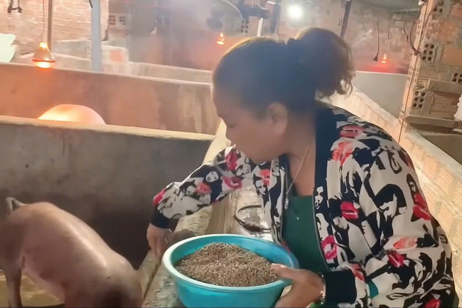 Sao nữ Vbiz tuổi U60: Về quê làm nông Sao nữ Vbiz tuổi U60: Về quê làm nông