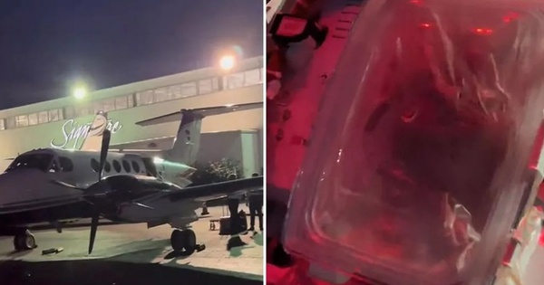 Clip trái tim đang đập trong hộp chờ cấy ghép thu hút 24 triệu lượt thích 27 Clip trái tim đang đập trong hộp chờ cấy ghép thu hút 24 triệu lượt thích 0js382300597 13571832 1759222043516 1759222044068503446758 0 0 450 720 crop 1759222141656583289958jpeg