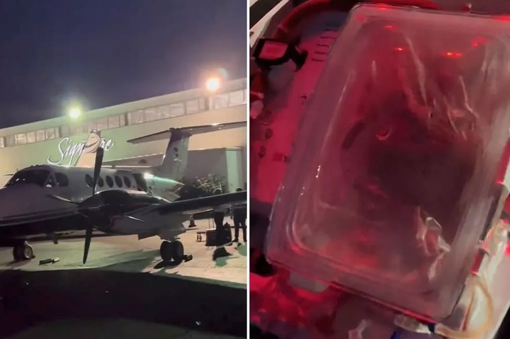 Clip trái tim đang đập trong hộp chờ cấy ghép thu hút 24 triệu lượt thích- Ảnh 1.