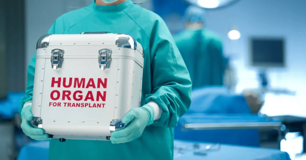 Bác sỹ tắc trách, bệnh nhân suýt bị mổ lấy tạng hiến ngay khi còn sống 0surgeon with organ donation 11291875 1762844100315 1762844100861153442490 0 0 450 720 crop 17628441217921541683946png
