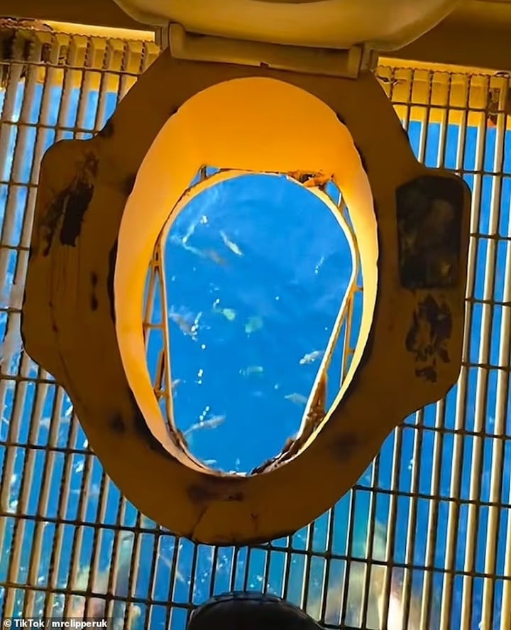 Nhà vệ sinh 'cảm giác mạnh' ở giàn khoan dầu khiến dân mạng hoảng hồn- Ảnh 1.