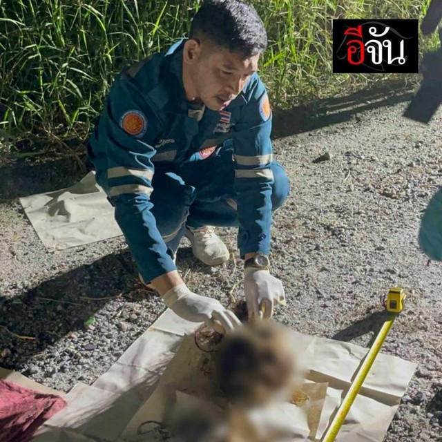 Rúng động Thái Lan: Phát hiện hộp sọ phụ nữ với tóc đỏ trong túi nilon và manh mối dẫn đến vụ mất tích bí ẩn ở Pattaya- Ảnh 1. Rúng động Thái Lan: Phát hiện hộp sọ phụ nữ với tóc đỏ trong túi nilon và manh mối dẫn đến vụ mất tích bí ẩn ở Pattaya- Ảnh 1.