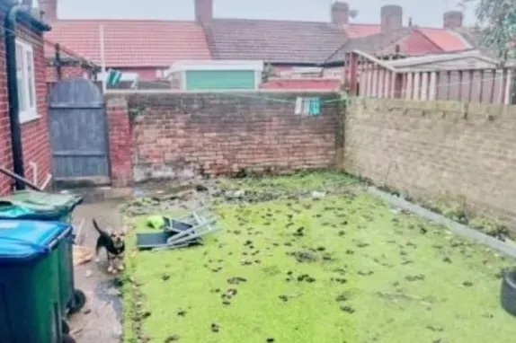 Khu vườn phía sau ngôi nhà dường như được bao phủ bởi phân chó.