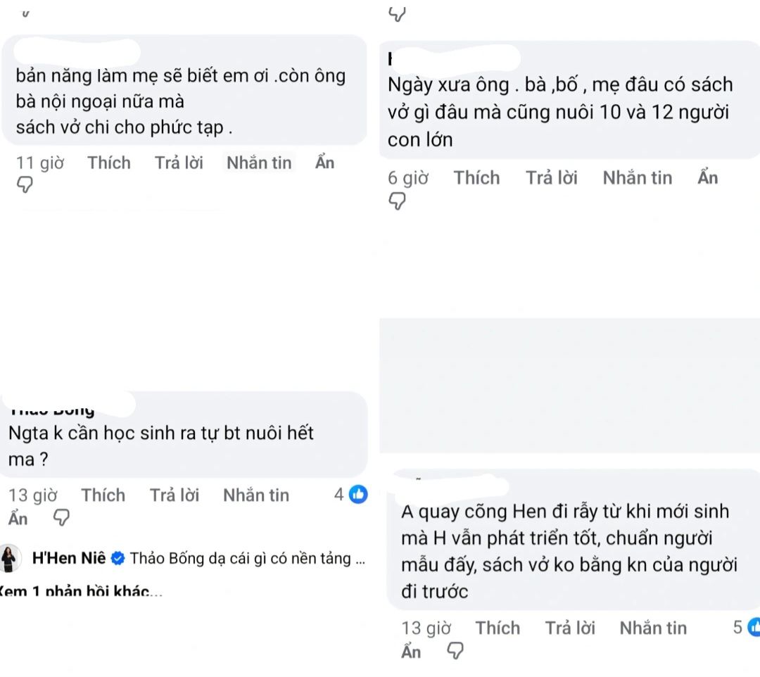 H'Hen Niê lên tiếng trước ý kiến: