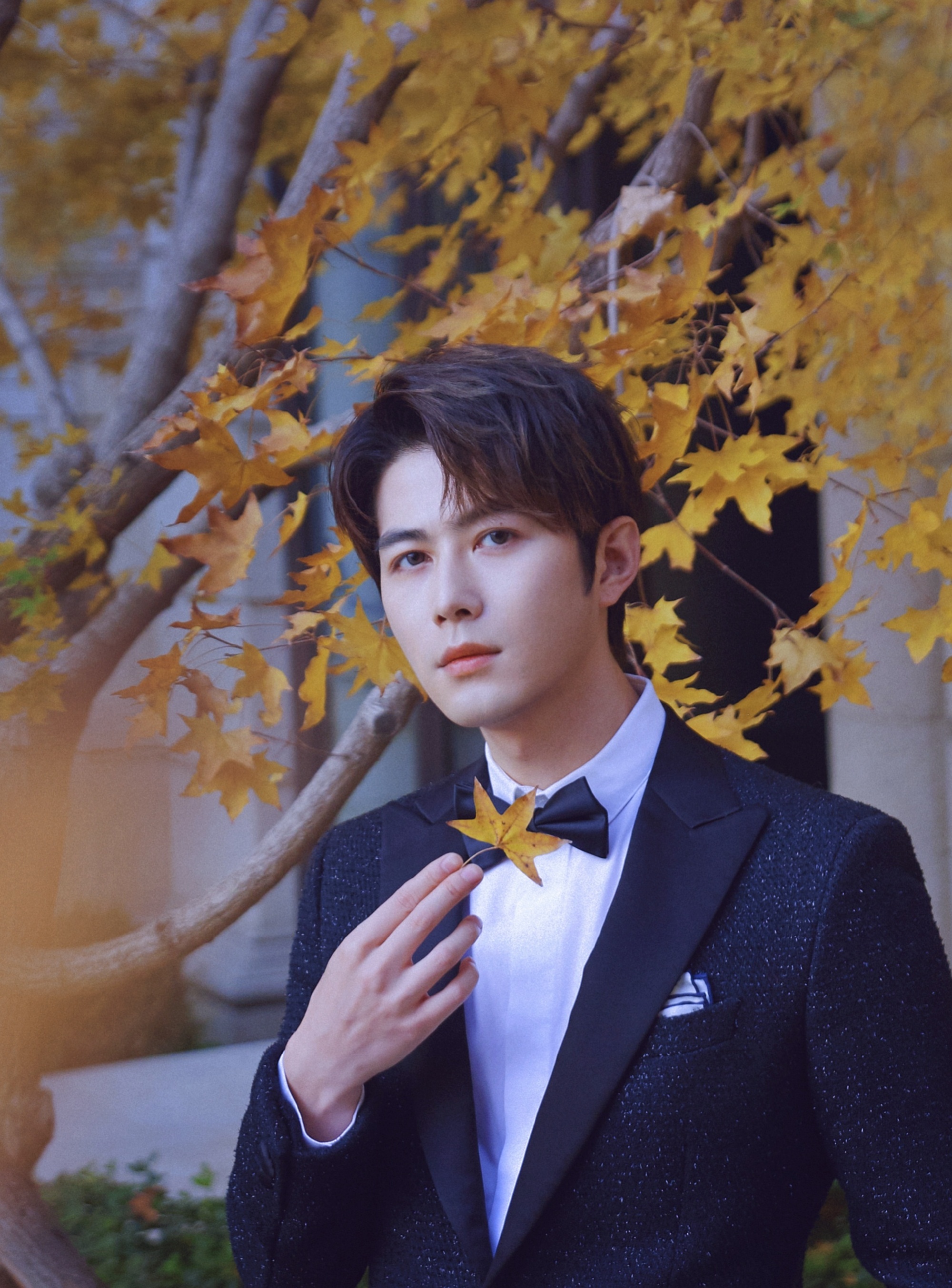 Vai diễn vận vào đời: Sao nam trải qua 4 ca phẫu thuật trong 2 năm, 11 bộ phim bị gỡ- Ảnh 1.