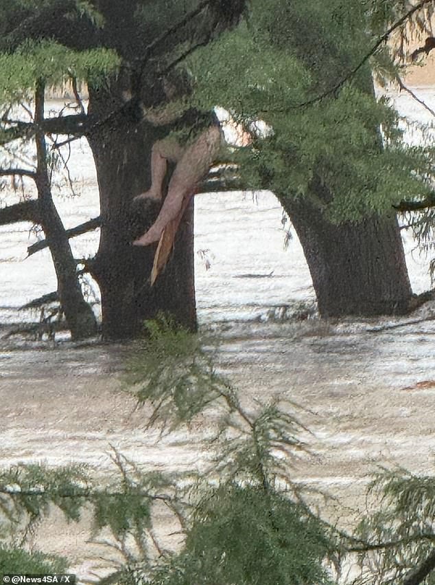 Những câu chuyện thương tâm sau thảm họa thiên tai tàn khốc nhất lịch sử Texas: Số người chết đã tăng lên 104, nhiều gương mặt Những câu chuyện thương tâm sau thảm họa thiên tai tàn khốc nhất lịch sử Texas: Số người chết đã tăng lên 104, nhiều gương mặt