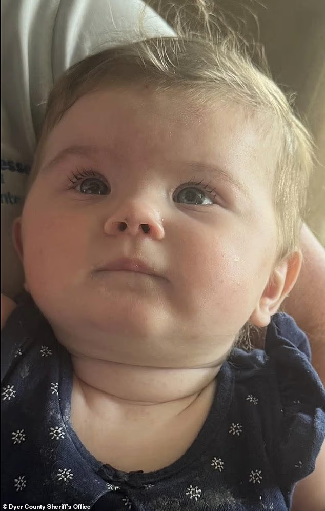 4 người được phát hiện tử vong, chỉ vài giờ sau khi bỏ rơi em bé sơ sinh trên bãi cỏ- Ảnh 1.