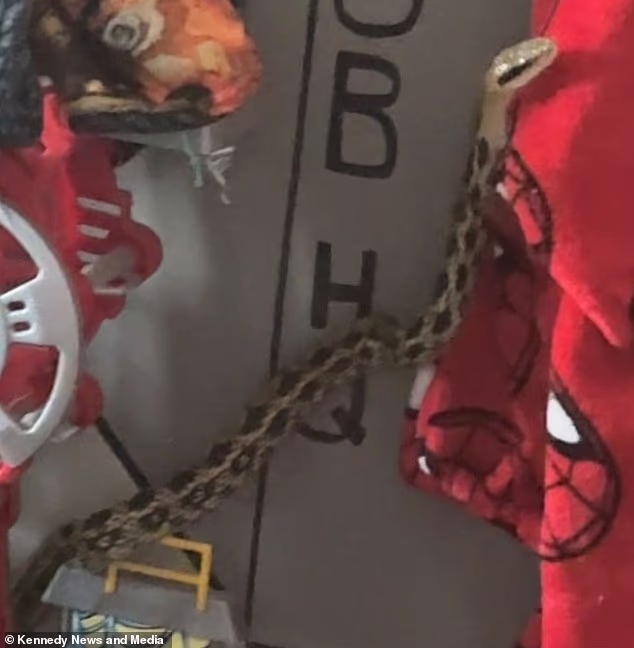 Bà mẹ hoảng loạn khi phát hiện ra thứ kinh hoàng trong phòng con- Ảnh 2.