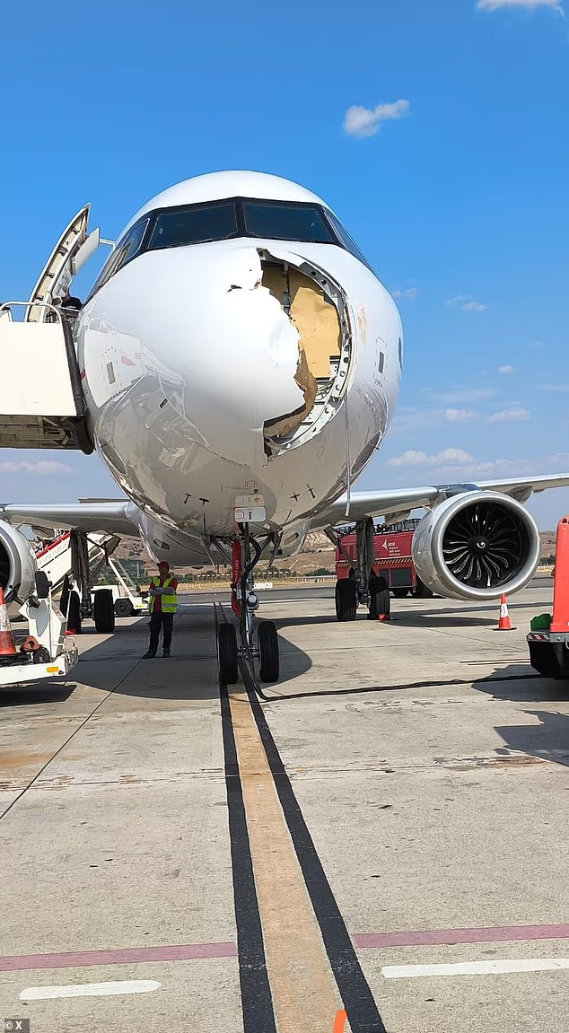 Hi hữu: Chim đâm vỡ mũi, máy bay phải quay đầu hạ cánh khẩn cấp- Ảnh 1.