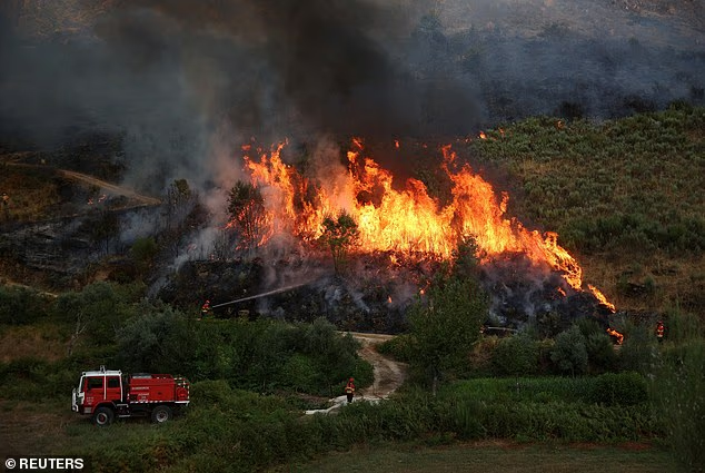 Châu Âu đang đỏ lửa như địa ngục: Người tử vong vì say nắng, nhiệt độ cao kỷ lục, cháy rừng khắp nơi và hàng ngàn người phải sơ tán- Ảnh 8. Châu Âu đang đỏ lửa như địa ngục: Người tử vong vì say nắng, nhiệt độ cao kỷ lục, cháy rừng khắp nơi và hàng ngàn người phải sơ tán- Ảnh 8.