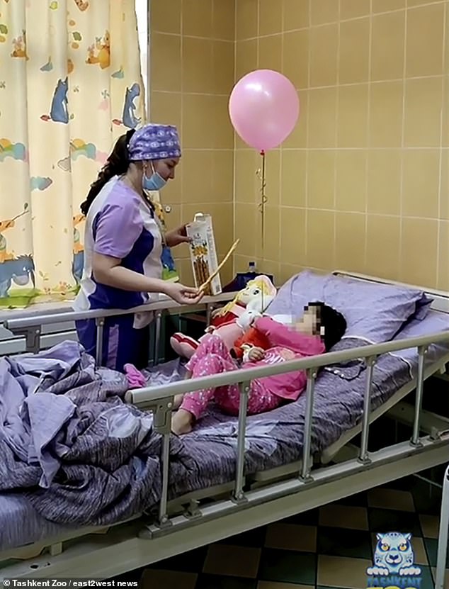 Phẫn nộ tột cùng: Mẹ ném con 3 tuổi vào chuồng gấu, 4 năm sau tiếp tục xuống tay tiếp với chính con mình- Ảnh 3.