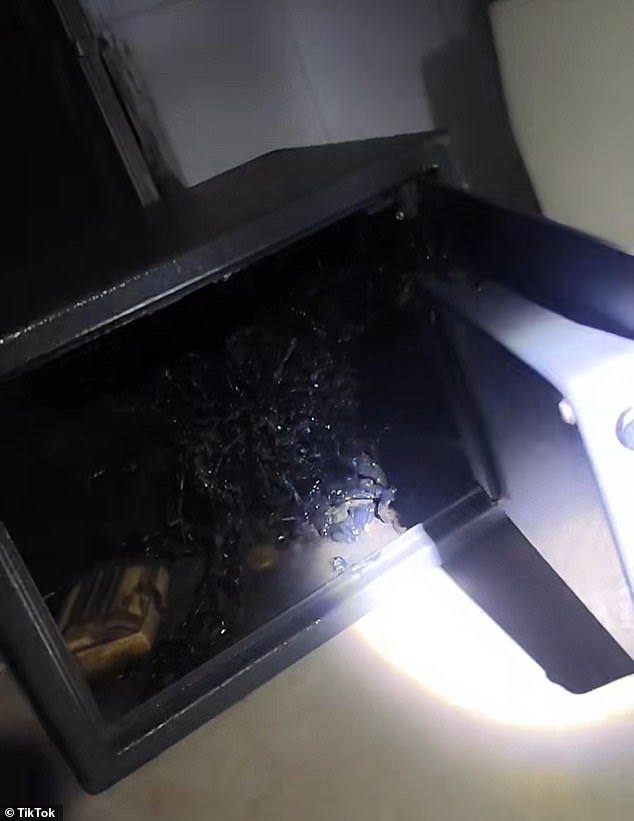 Xuất hiện xúc tu bí ẩn mọc ra từ thiên thạch: Người ngoài hành tinh đang lớn lên?- Ảnh 3.