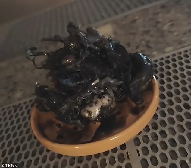 Xuất hiện xúc tu bí ẩn mọc ra từ thiên thạch: Người ngoài hành tinh đang lớn lên?- Ảnh 2.