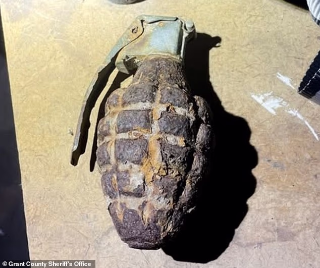 Bé trai 3 tuổi phát hiện ra